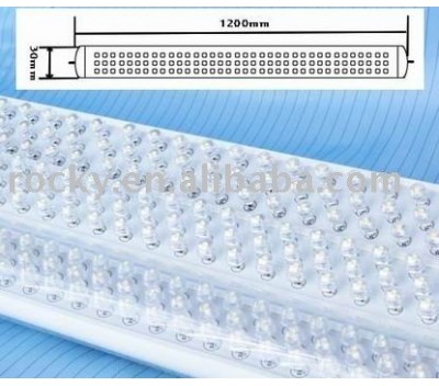 T10 led tube